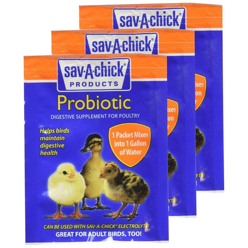 Probiotic digestive supplement for poultry