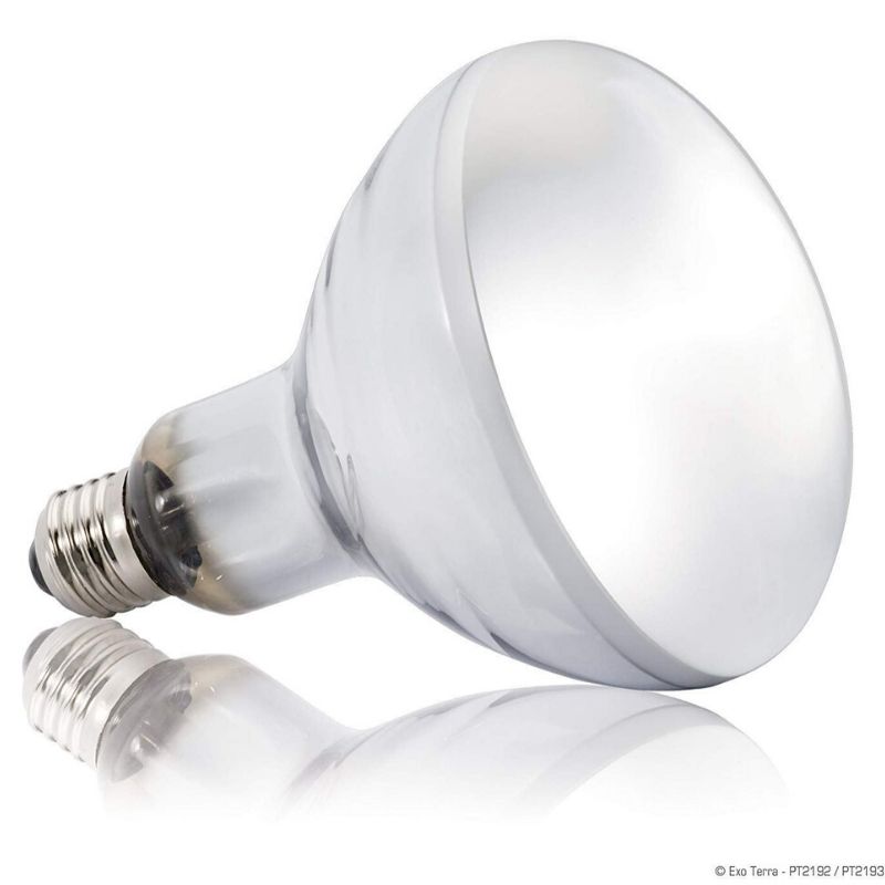 Heat lamp bulb 125 watt
