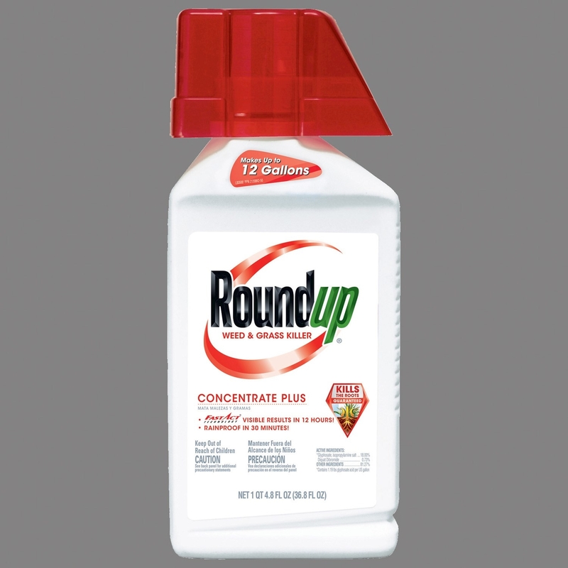 Roundup 36 oz. concentration weed and grass killer