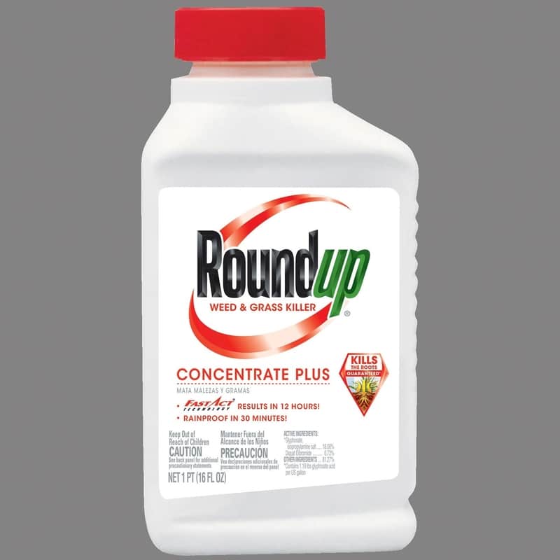 Roundup weed & grass killer concentrate plus 16 oz.