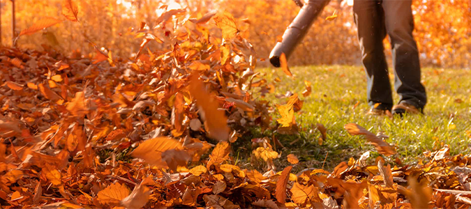 seven things to do to prepare your lawn for winter