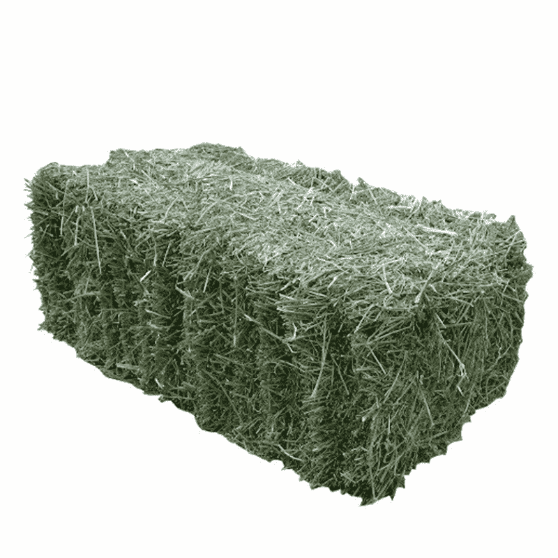 Small Bale Grass Hay