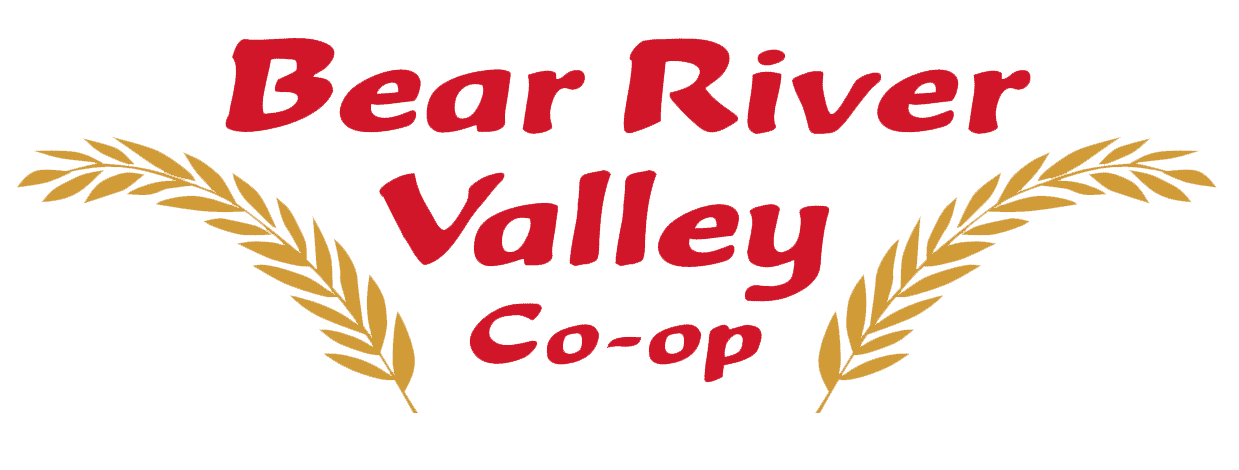 Ninja Blender Food Prep - Bear River Valley Co-op