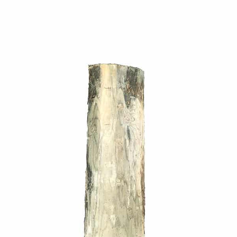 Wood Fence Post Treated 5-6 in x 8 ft Blunt
