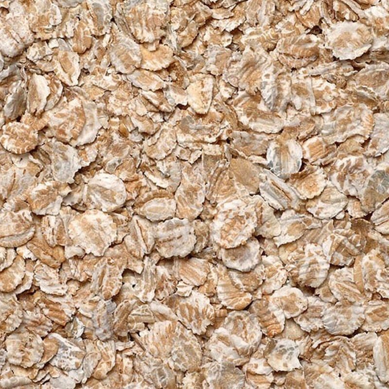 Steem Flaked Rolled Barley 50 lb. Bag