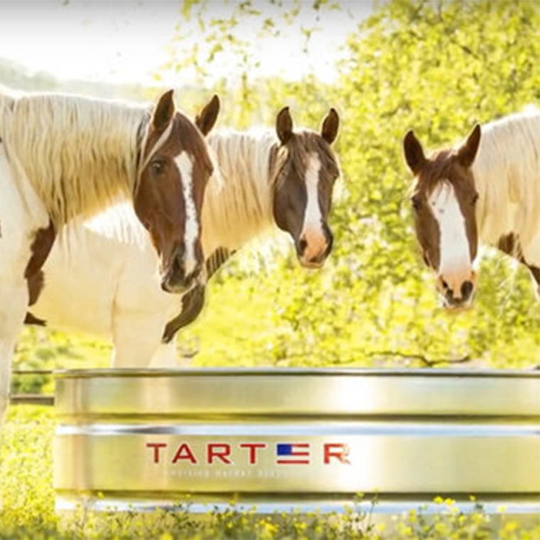 Tarter Round Galvanized Stock Tank 390 Gallon Bear River Valley Coop